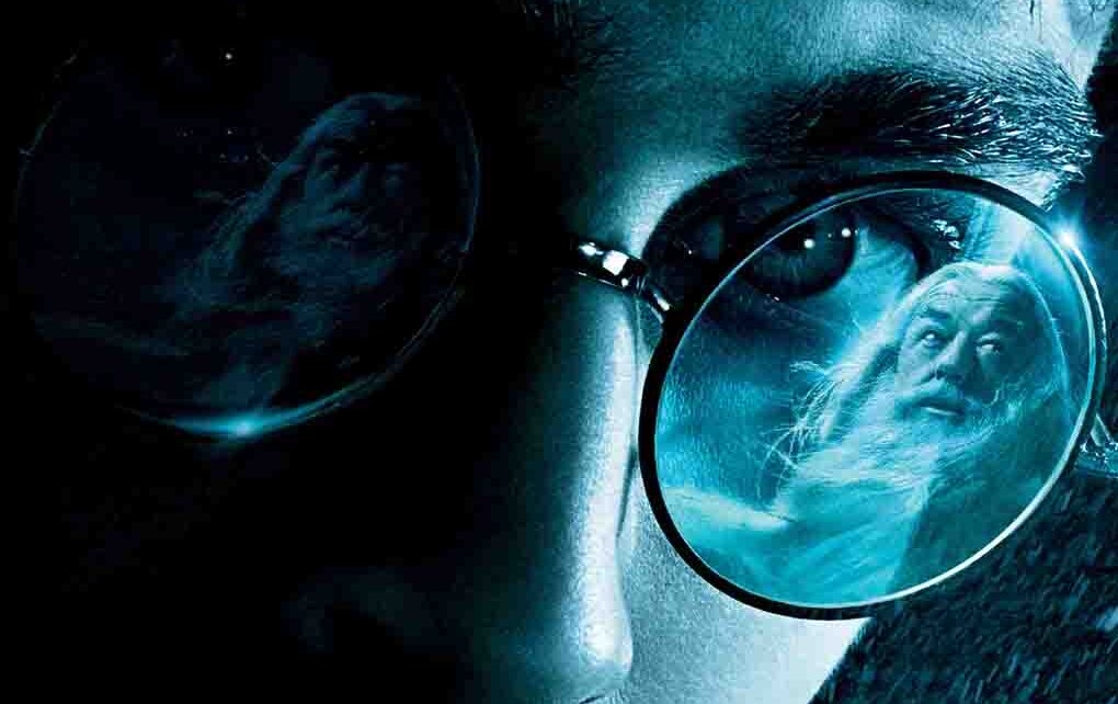 Feliz cumpleaños Harry Potter - El viaje de Vinny